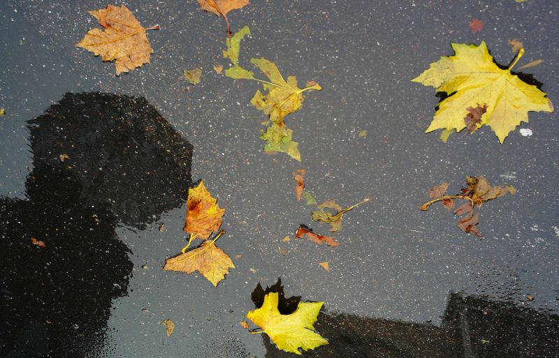 PROGNOZA METEO. Vine IARNA? VEZI cum va fi vremea până pe 8 noiembrie