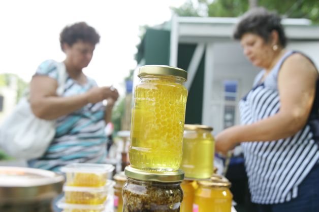 Recunoaşteţi mierea contrafăcută! PLUS: Cinci teste pe care le puteţi încerca acasă