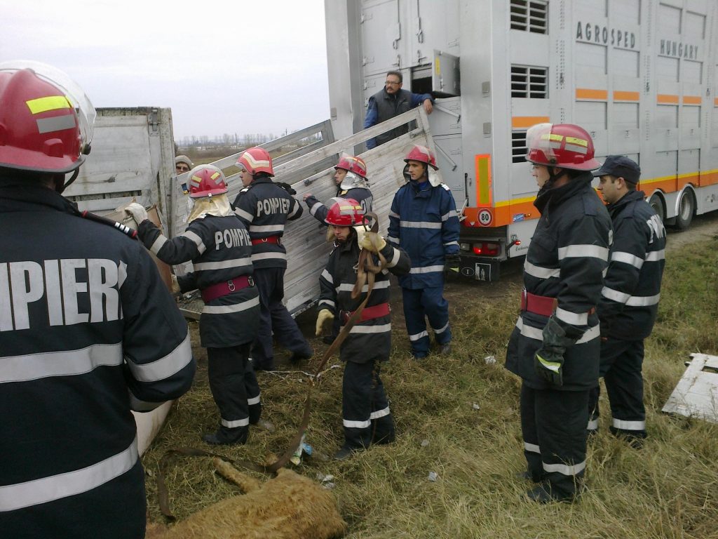 CARNAGIU PE ?OSEA. 20 de victime nevinovate au pierit ZDROBITE ÎNTR-UN TIR R?STRNAT