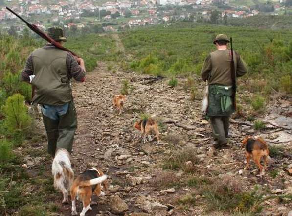 De ce mor italienii după carnea de sturz. Braconierul Fortunato a împuşcat sute de păsări în Lugoj. SECRETUL ACESTEI PĂSĂRI