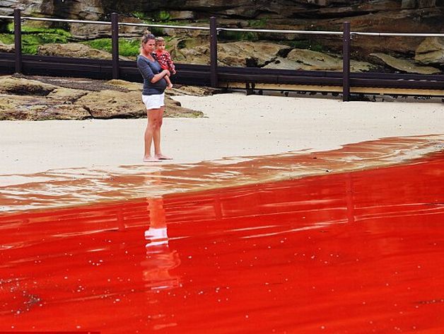 Fenomen spectaculos în Australia. Apa m?rii a devenit ro?ie| FOTO