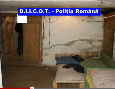 ÎNCĂ O REŢEA DE SCLAVIE în Covasna: 17 adulţi şi 8 minori, OBLIGAŢI să muncească 17 ore pe zi | VIDEO