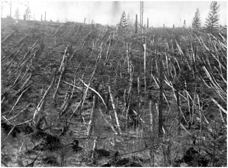 TUNGUSKA, fenomenul care a transformat noaptea în zi şi a scos 80 de milioane de copaci din rădăcini