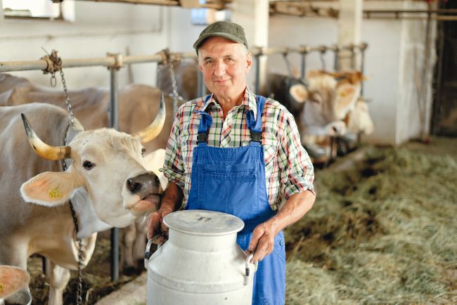 Consumi LACTATE FABRICATE ÎN ROMÂNIA? Vezi de unde provine laptele!