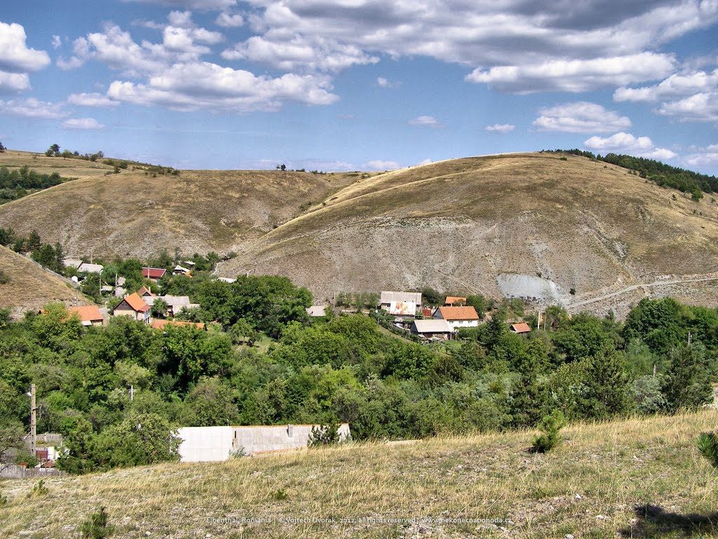 EXISTĂ ÎN ROMÂNIA. Satul în care NU SE FURĂ și BANII STAU PE GARDURI