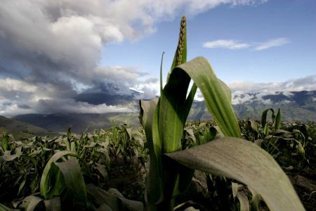 Lovitură GREA pentru giganţii INGINERIEI GENETICE