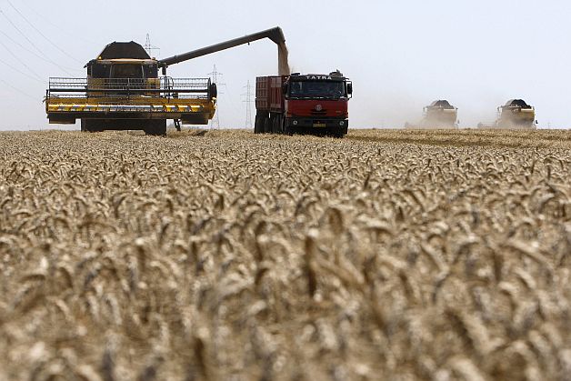 Marii fermieri: exporturile masive de cereale nu aduc veşti bune
