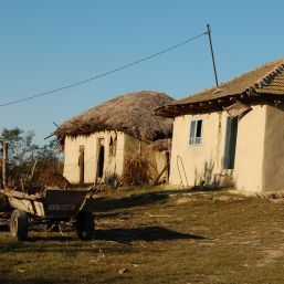 Copil de un an, lăsat să moară de foame