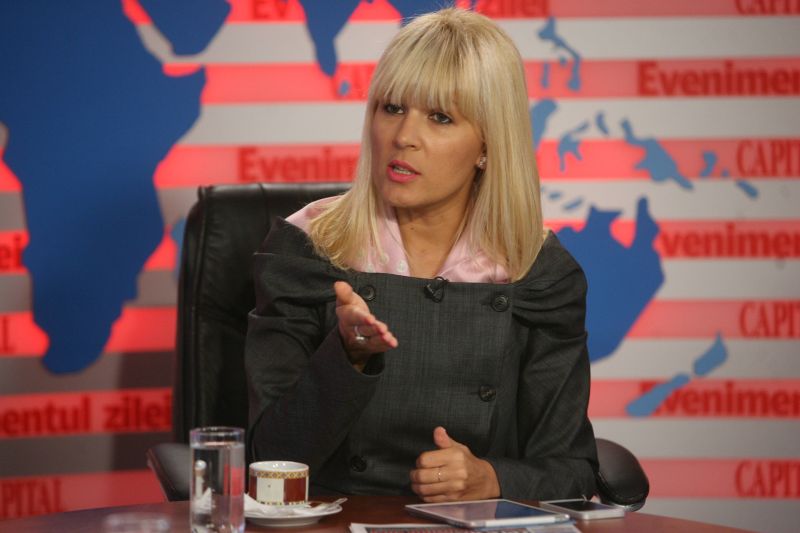 Elena Udrea: USL se bucură acum de rezultatele directe ale muncii guvernării Boc