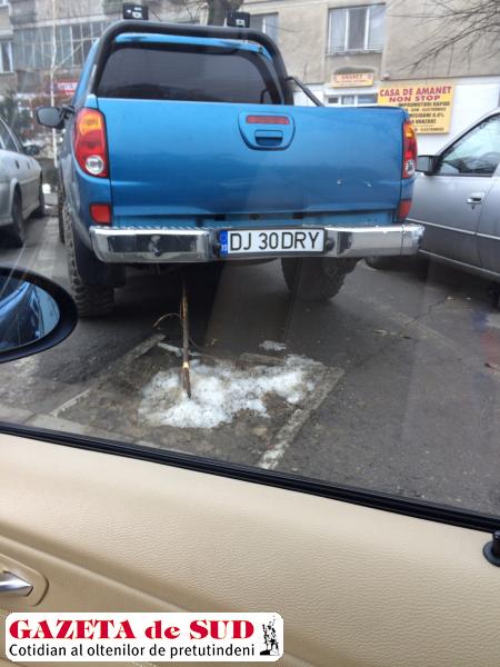 Lipsa locurilor de parcare îi face INVENTIVI pe şoferi. Maşină parcată peste un copac, în Craiova