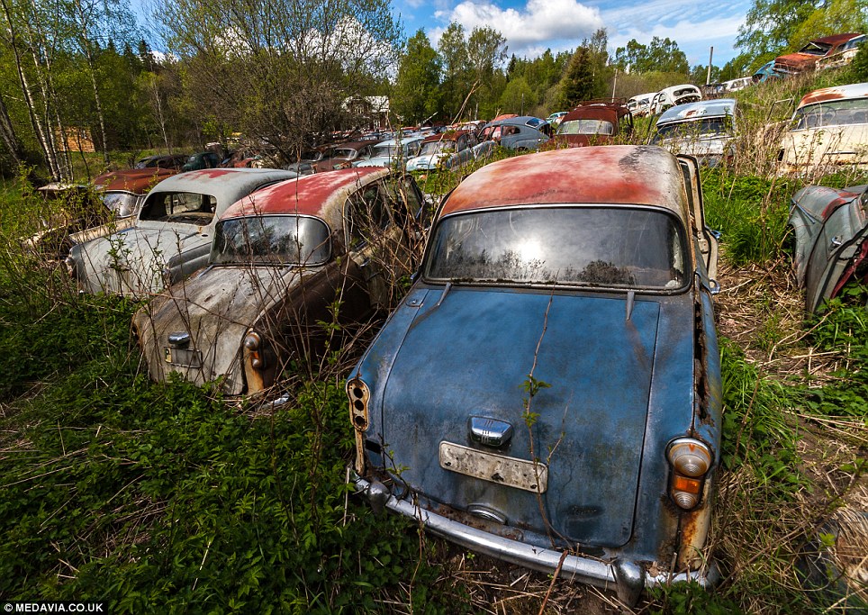 Maşini clasice în valoare de peste 121.000 euro RUGINESC într-un cimitir din Suedia | GALERIE FOTO