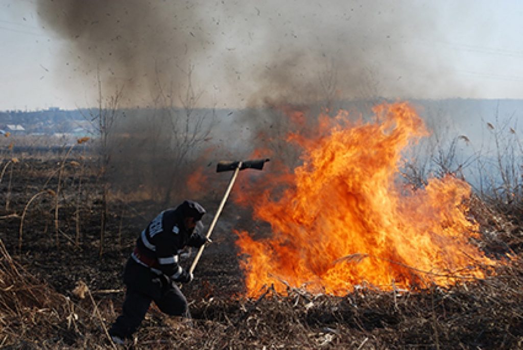 Franța se luptă cu incendiile de vegetație și temperaturile record. Mii de persoane, evacuate preventiv