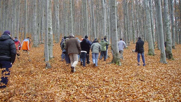 Bărbat dispărut într-o pădure din Timiş. Peste 100 de oameni îl caută I UPDATE: Cum a fost GĂSIT