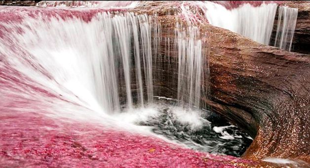 "Curcubeul lichid". Imagini uimitoare cu râul în cinci culori| GALERIE FOTO