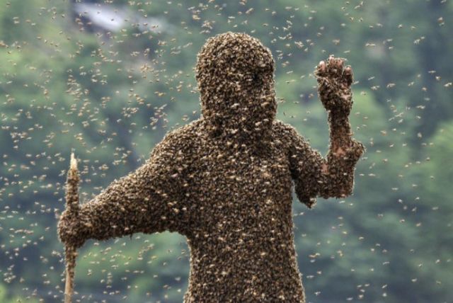 Femeie atacată de 75.000 de albine ucigaşe | VIDEO
