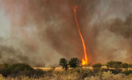 FOTOGRAFII ULUITOARE. Fenomen rar al naturii:  O tornadă din foc s-a produs în SUA | VIDEO
