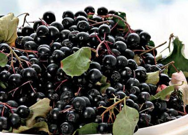 Fructele-minune care conțin cea mai mare cantitate de antioxidanți