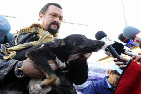 "Locul lor nu este pe străzi!". Steven Seagal e în România şi ajută câinii adoptaţi