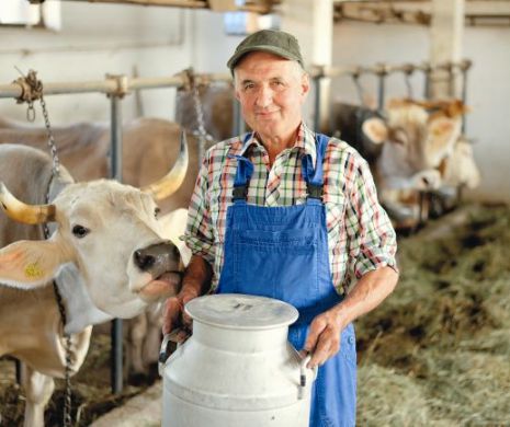 APRIL: Producţia de lapte va creşte cu 15% în acest an, iar preţurile vor scădea cu 10%
