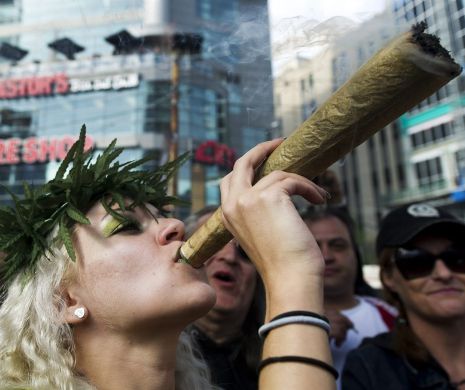 Canada: Manifestaţii în principalele oraşe pentru legalizarea consumului de canabis