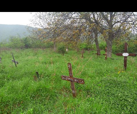 După urşi şi lilieci, este rândul morţilor să încurce autostrada Lugoj – Deva