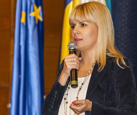 Elena Udrea: Partidul Mişcarea Populară îşi propune să ridice România acolo unde îi este locul