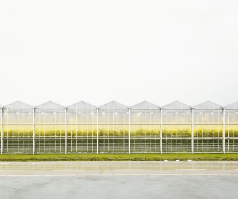 Imagini suprarealiste cu fermele agricole ale viitorului | GALERIE FOTO