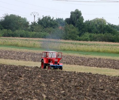 Ministerul Agriculturii a lansat portalul pentru vânzarea terenurilor agricole