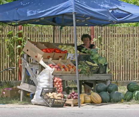 Patronatele din turism sprijină reducerea TVA la produsele ecologice: „Orășenii  cheltuie o grămadă de bani pe alimente nesănătoase”