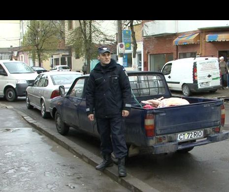 Poliţiştii vânează evaziune fiscală cu miei în pieţele din Constanţa