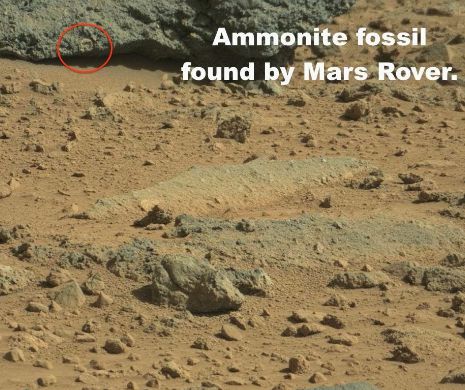Roverul NASA a descoperit DOVEZI ale vieţii pe MARTE | FOTO / VIDEO