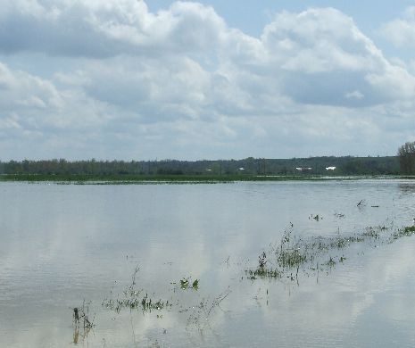 Cod GALBEN de inundații pe râurile din mai multe județe. VEZI zonele vizate