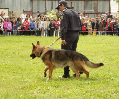 De ZIUA COPILUI, elevii surzi vor picta o pânză de 300 de metri. Surpize de la Poliţia Capitalei, PLIMBĂRI CU CAII oferite de Poliţia Locală