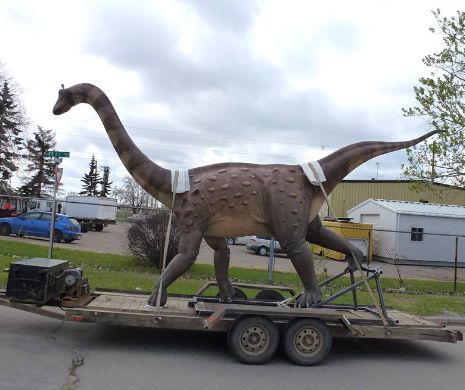 Dinozaurul pitic reapare în Ţara Haţegului