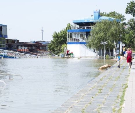 Dunărea a depășit cota de INUNDAȚIE la Galați. Faleza inferioară e sub ape