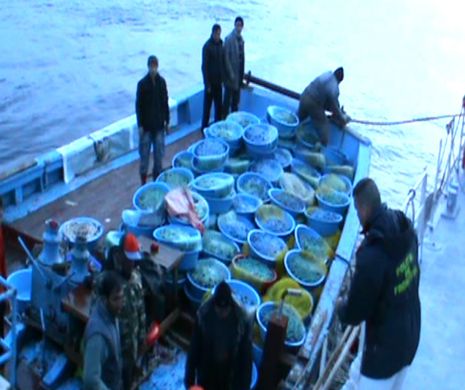 HOȚII DIN MAREA NEAGRĂ. Sute de kilograme de calcan, furate de un PESCADOR TURCESC din apele teritoriale românești