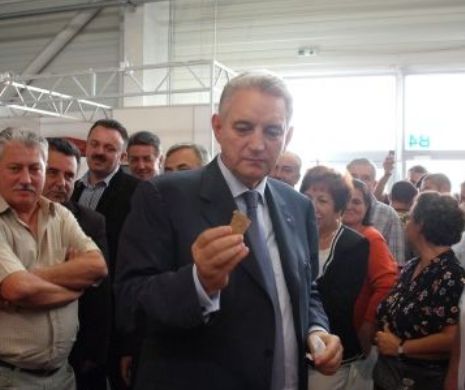 Ilie Sârbu: Nu cred că PNL și PDLvor avea un candidat unic la prezidențiale