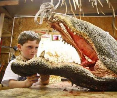 ÎNFIORĂTOR. Un aligator s-a refugiat în piscina unei familii: "A crezut că mă poate mânca la micul dejun" FOTO