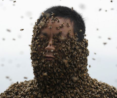Nebunie sau curaj? Un bărbat a fost acoperit de 460 de mii de albine. A rezistat 40 de minute cu acest costum pe el | GALERIE FOTO