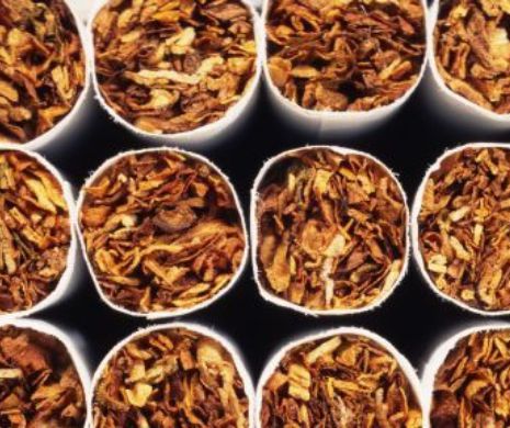 Producători: După ce GUVERNUL a schimbat modul de calcul al ACCIZELOR, PIAȚA NEAGRĂ a tutunului a crescut îngrijorător