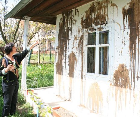 RĂZBUNARE MOLDOVENEASCĂ. I-au "vopsit" casa cu fecale. Poliţia caută făptuitorii