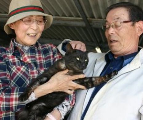 S-a întors acasă după trei ani. Povestea pisicii care a dispărut după tsunami-ul din Japonia și a fost găsită acum