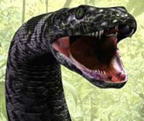 Şarpele uriaş care a semănat teroare timp de 10 milioane de ani. Cel mai terifiant monstru de pe planetă  | GALERIE FOTO