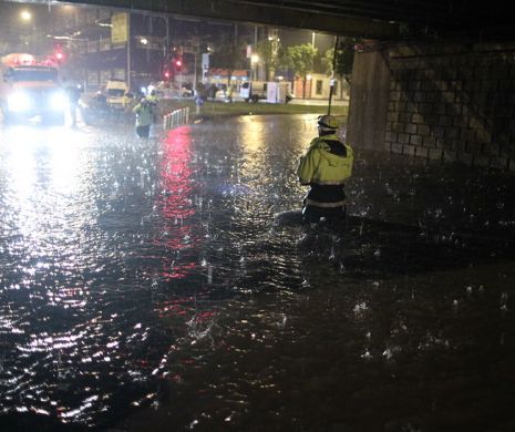 SUB APE. Soluția INCREDIBILĂ a autorităților pentru a evita traficul pe drumurile inundate cu apă de ploaie: ”BARICADE” din copaci I FOTO