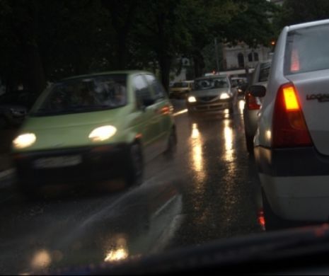 Traficul pe DN1, parţial restricţionat între Bucureşti şi Ploieşti: Un copac a căzut pe şosea