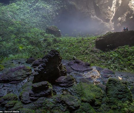 Cea mai mare peşteră din lume ascunde o pădure. Imagini uluitoare