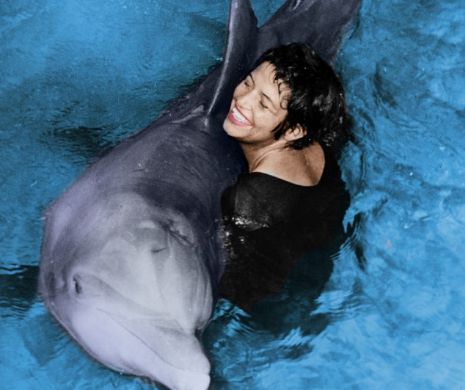 Cel mai ciudat lucru din lume. Femeia care a învăţat un delfin să vorbească, iar apoi mamiferul s-a îndrăgostit de ea GALERIE FOTO