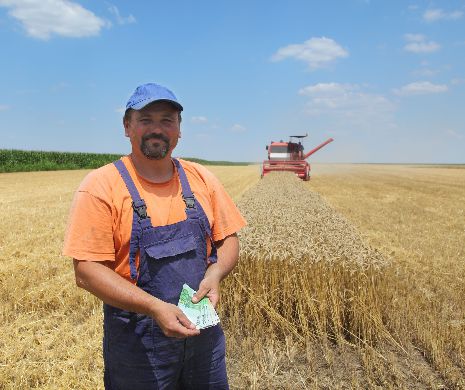 Fermierii și marii comercianți se războiesc pe prețul grâului