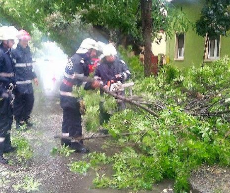 Furtună la Timișoara. A fost nevoie de pompieri pentru eliberarea drumurilor