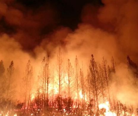 Incendii devastatoare în California. Sute de locuinţe au fost evacuate